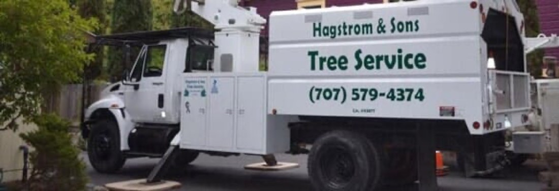 A Hagstrom & Sons Tree Service truck